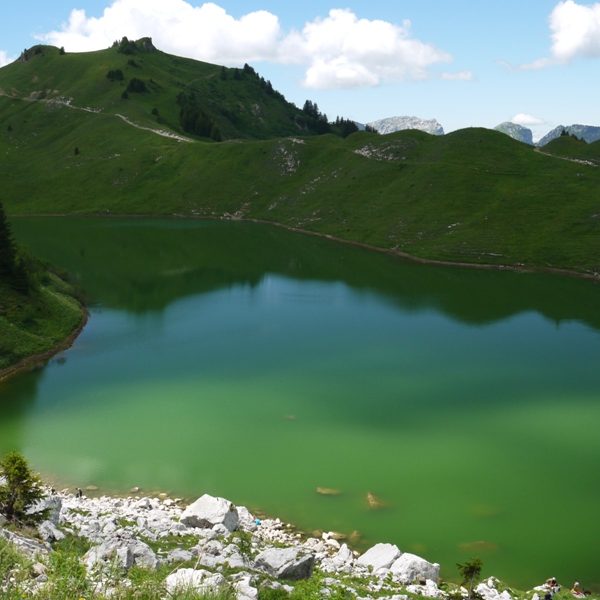 lac d'altitude en Savoie Rhône-Alpes, analyse de la qualité de l'eau et du phytoplancton et suivi des indicateurs biologiques, expertise des bassins versants