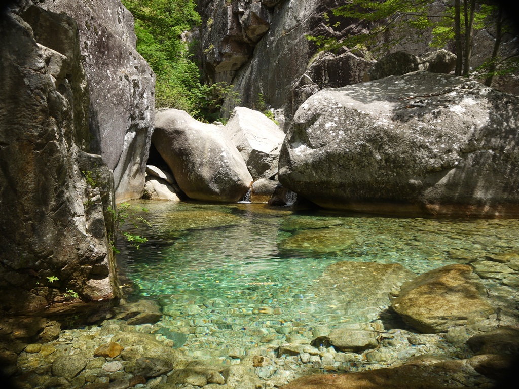 HYDROS, expert en milieux aquatiques et hydrobiologie.
programme de suivi et réseau de surveillance en rivière, prélèvements et mesures in-situ, bassin versant, évaluation de la qualité de l'eau et des milieux aquatiques