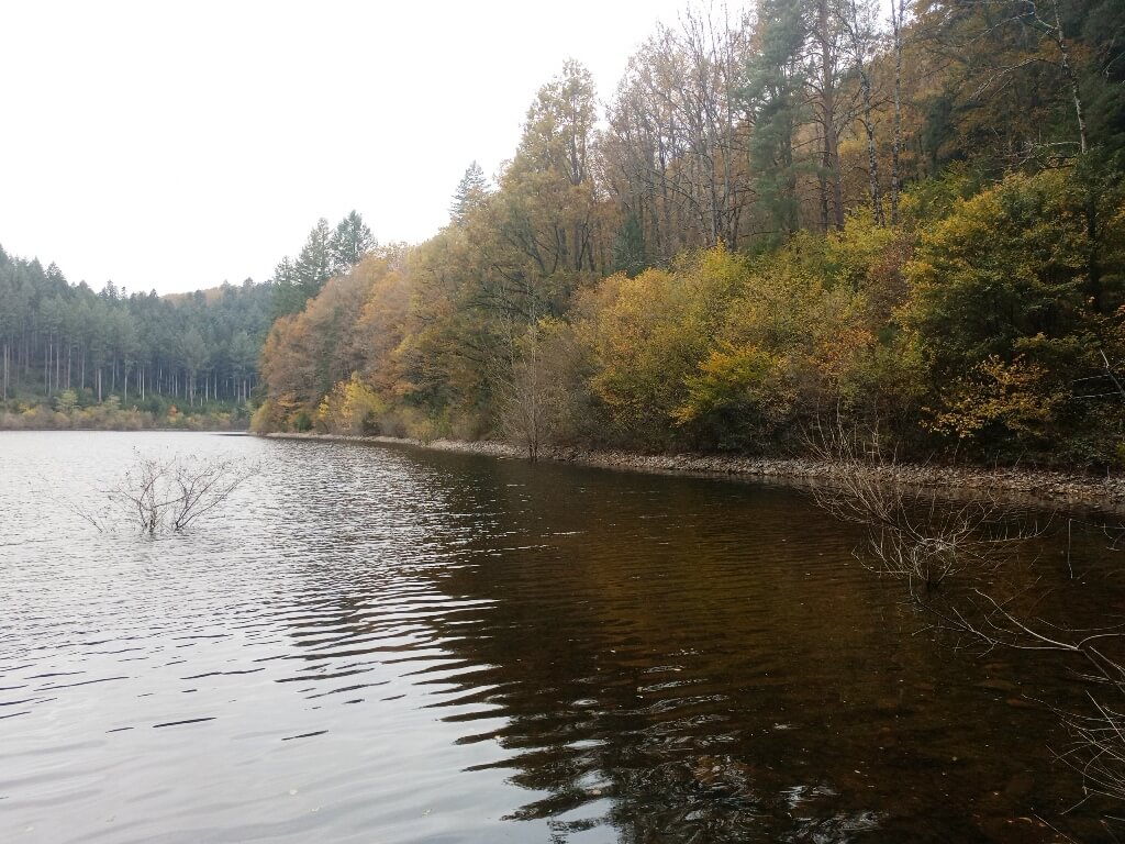 Vidange d'étang, pêche, lac, plan d'eau, profil thermique, suivi de vidange, diagnostic qualité eau et hydrobiologie