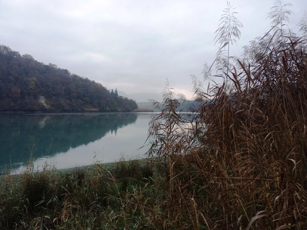 hydrobiologie, pêches filets maillant, verveux, nasses, étude piscicole