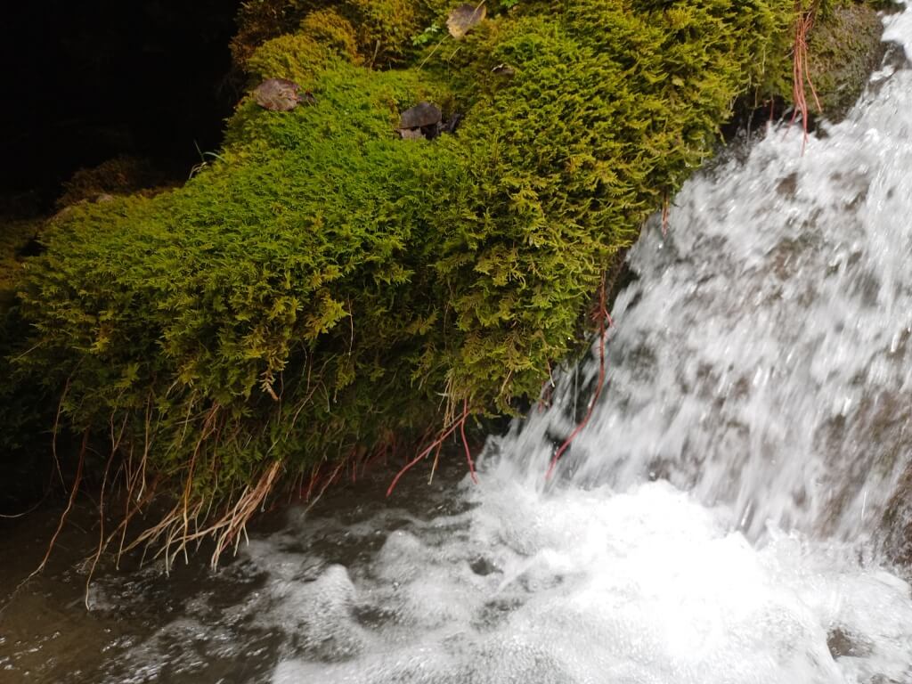 Mousses, chute, cascade, mesures physicochimiques, mesures in-situ, suivi qualité eau