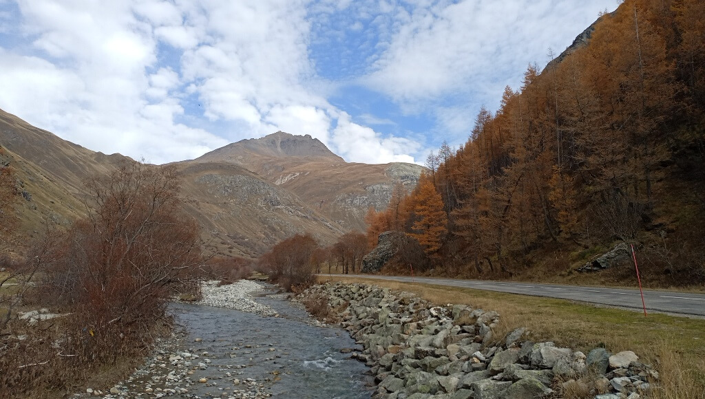 Prélèvement ADN environnemental, poissons, mollusques, batraciens, écrevisses à pattes blanches, micrommamifères aquatiques