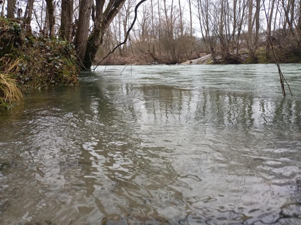 Pollution diffuse d'un cours d'eau, débit hivernal, ripisylve