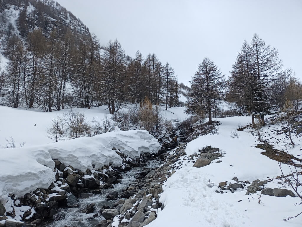 Diagnostic hivernal qualité de l'eau, hydroélectricité, Savoie, macroinvertébrés