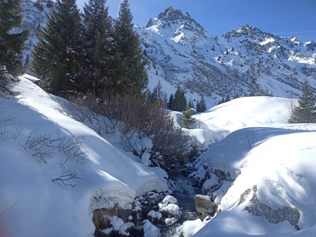 Suivi centrale hydroélectrique, étiage hivernal, macroinvertébrés, prélèvements d'eau, milieux aquatiques
