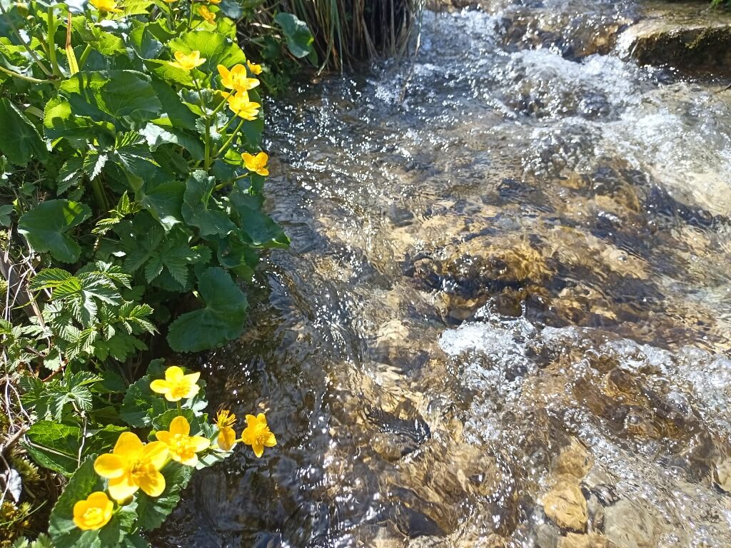 photo Hydros : torrent de montagne, mesures de débit, consultant en milieux aquatiques