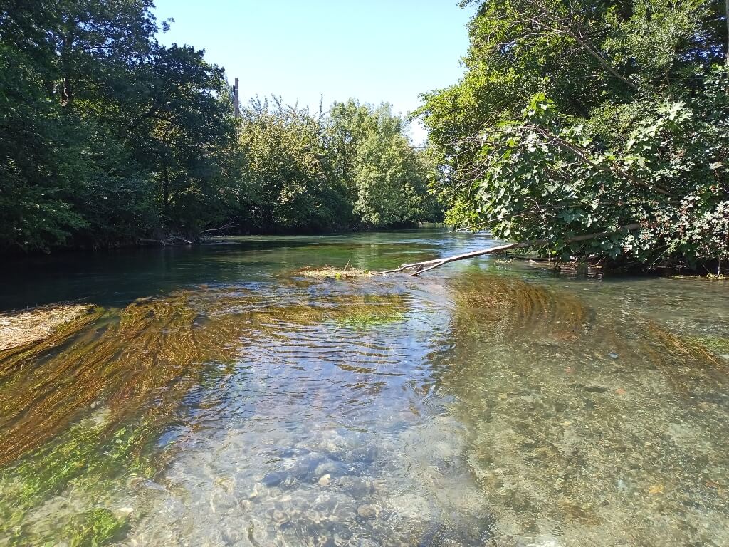 prélèvements IBGA grands cours d'eau, indicateur biologique, macroinvertébrés et diatomées