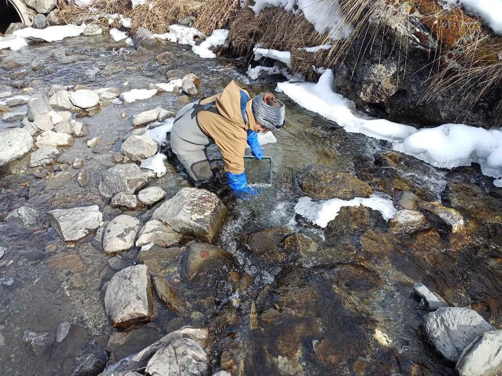 prélèvements hydrobiologiques par HYDROS consultant en hydrobiologie, domaine de l'eau et des milieux aquatiques