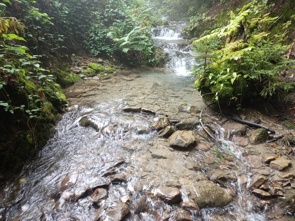 Régularisation de captage, torrent de montagne, débit minimum biologique, mesure in situ