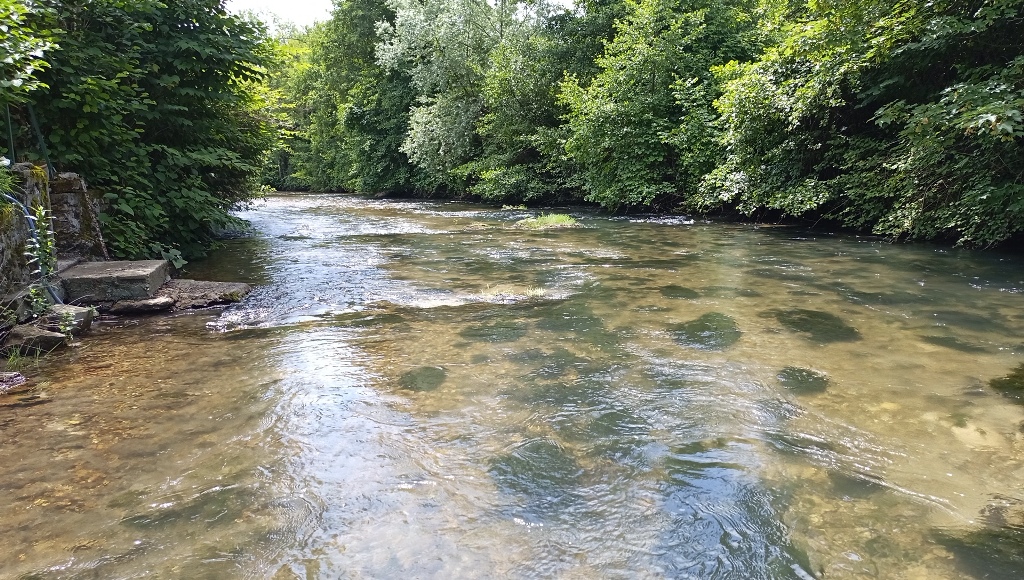 photo Hydros : hydromorphologie, travaux de renaturation et restauration de cours d'eau, génie écologique Macroinvertébrés et mesures de débits