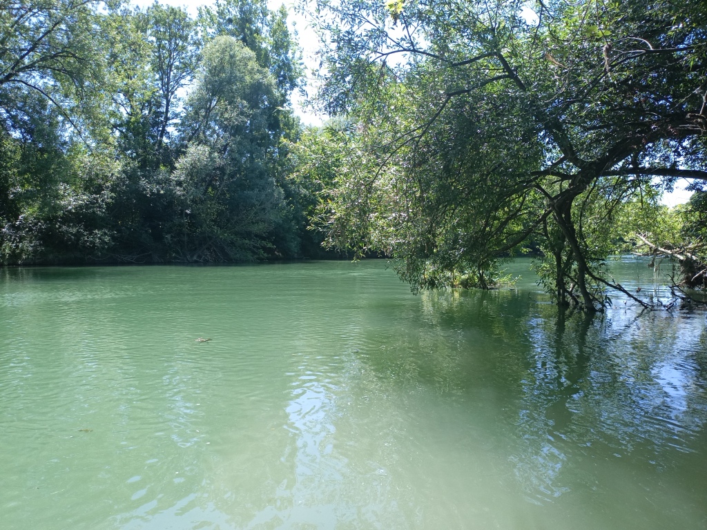 HYDROS consultant en milieux aquatiques et hydrobiologie. Prélèvements hydrobiologiques en grand cours d'eau.