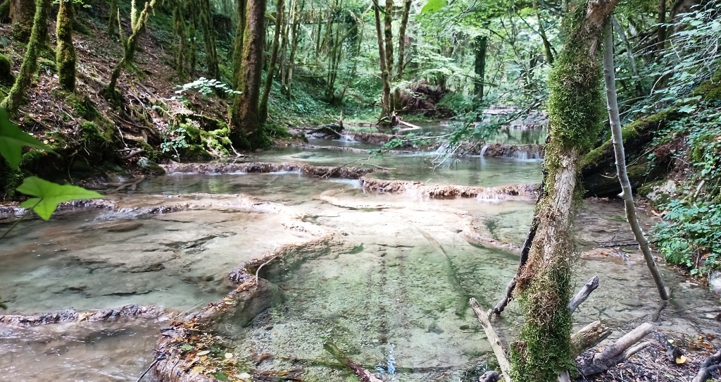 Observatoire de l'eau, prélèvements hydrobiologiques