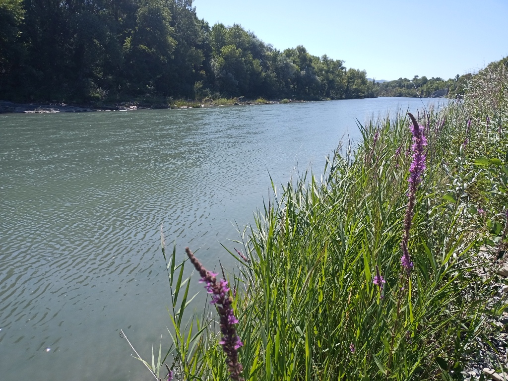 HYDROS consultant en environnement milieux aquatiques hydrobiologie, prélèvements piscicoles, pêches électriques