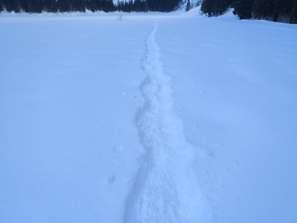 HYDROS, bureau d'études spécialisé en milieux aquatiques et hydrobiologie. Suivi milieux aquatiques en hiver
Consultant eau environnement